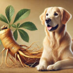 Ginseng for dogs