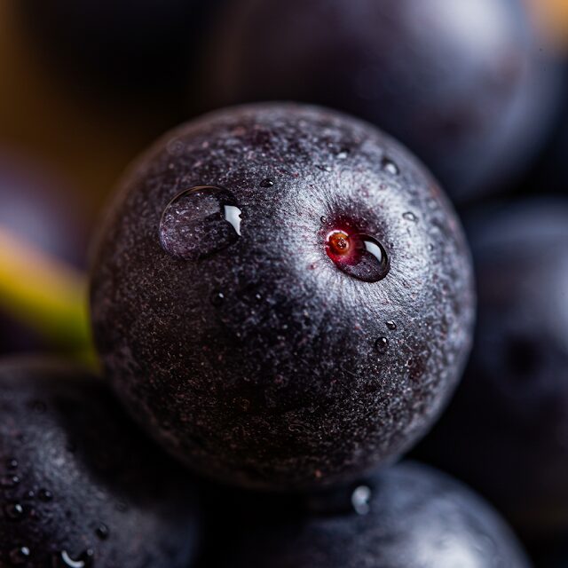 Maqui Berry and Weight Loss